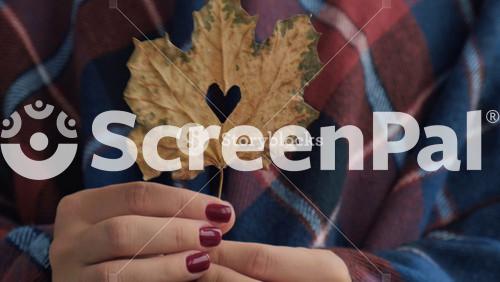 Stylish Red Female Nails. Fall Leaf With Hole In Heart Shape In Hands. Modern Beautiful Manicure. Autumn Winter Nail Design Concept Of